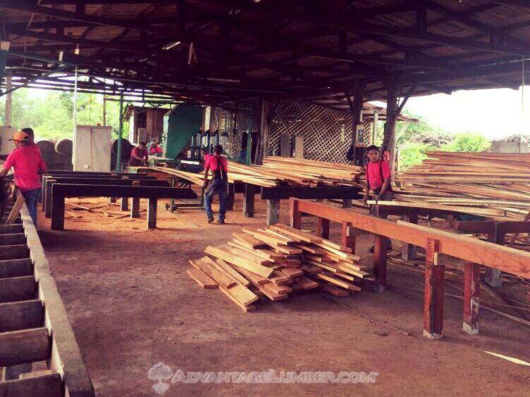 Brazil Sawmill