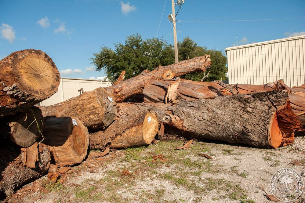 Urban Live Edge Wood Slabs in Sarasota, FL - AdvantageLumber Blog