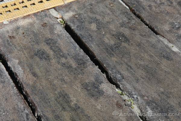 mold