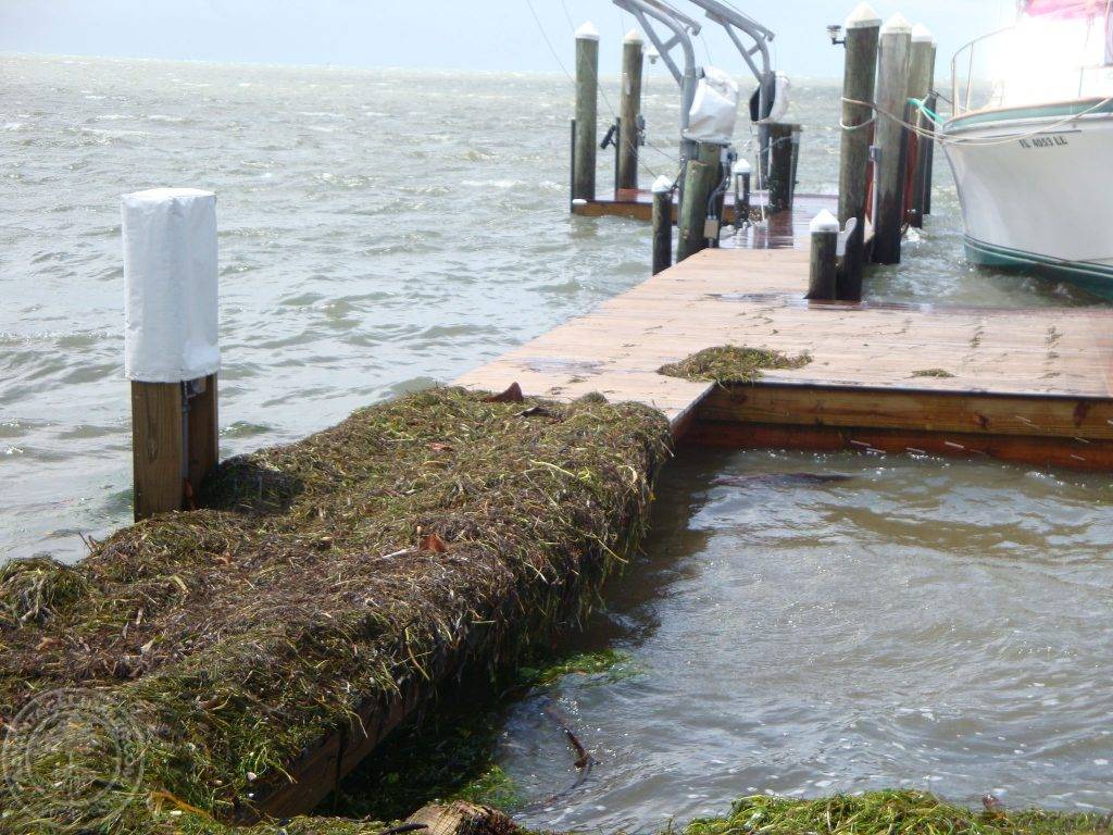 hurricane proof boat dock