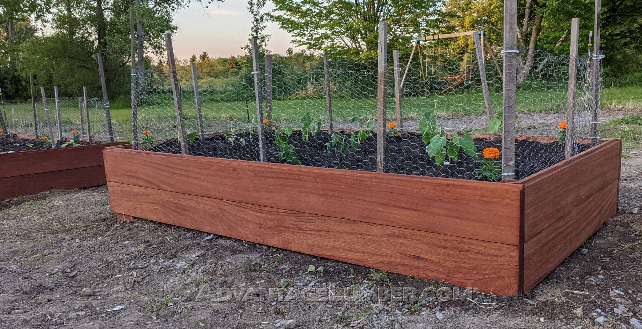 Best Wood for Raised Garden Beds AdvantageLumber Blog
