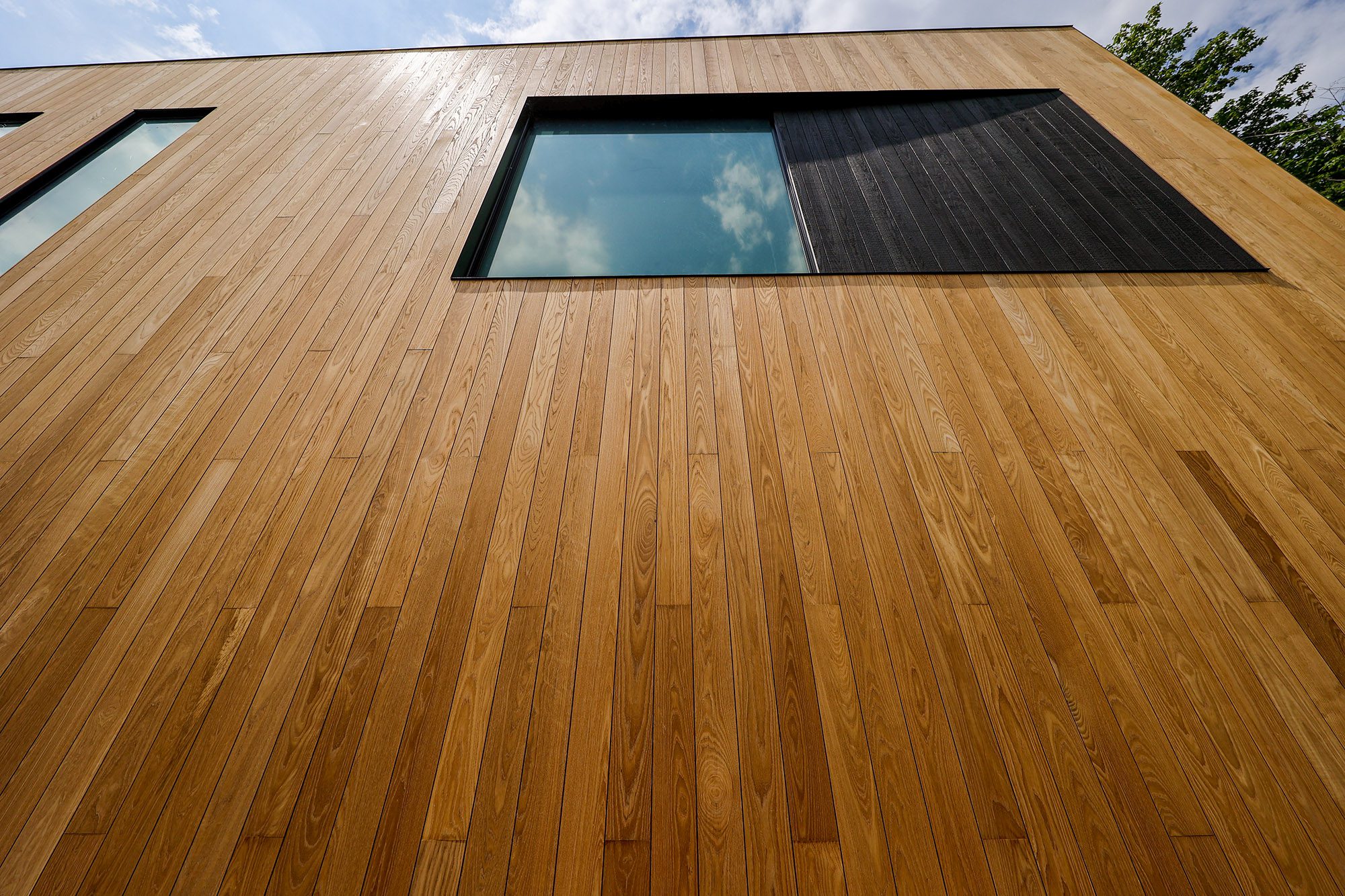 thermally modified wood siding