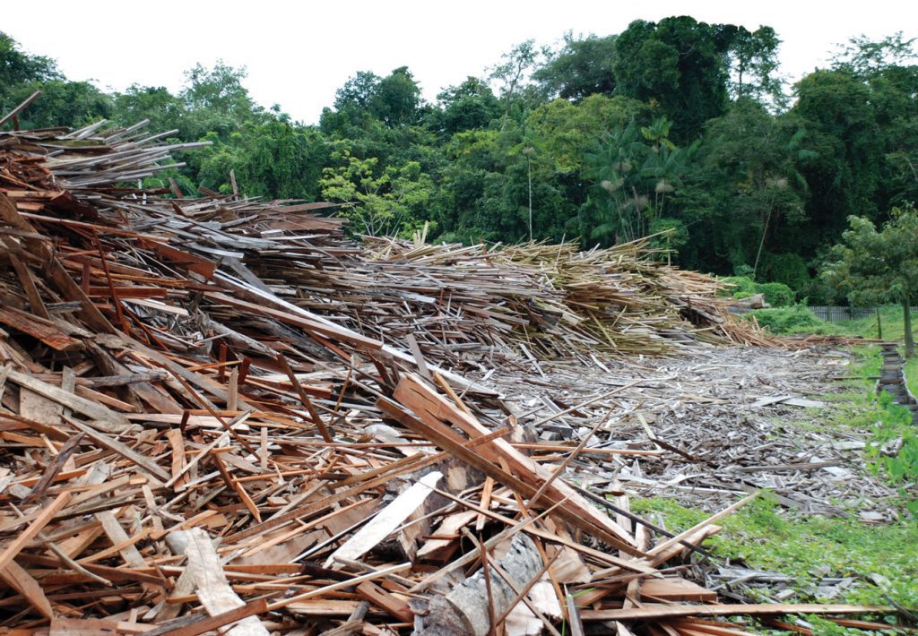 Brazil lumber rips