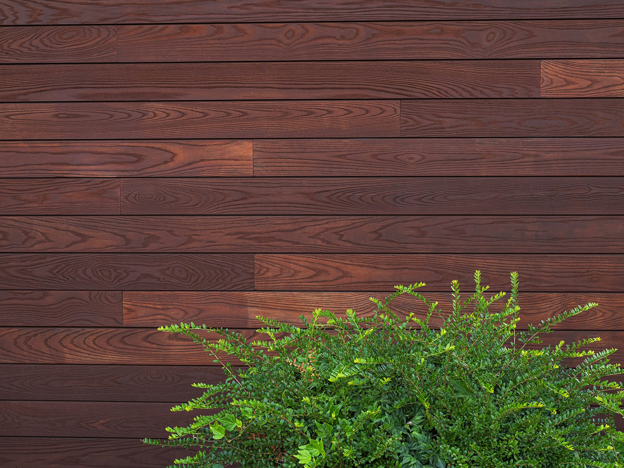 Thermally Modified Ash Siding