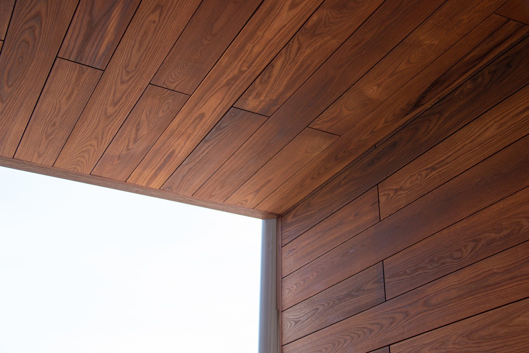 thermally modified ash siding & soffit