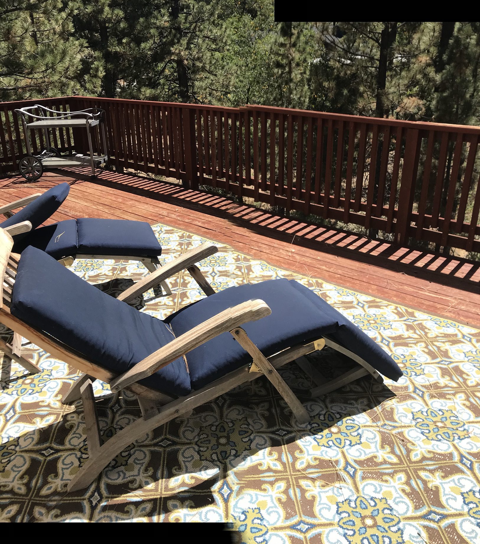 rug on backyard deck