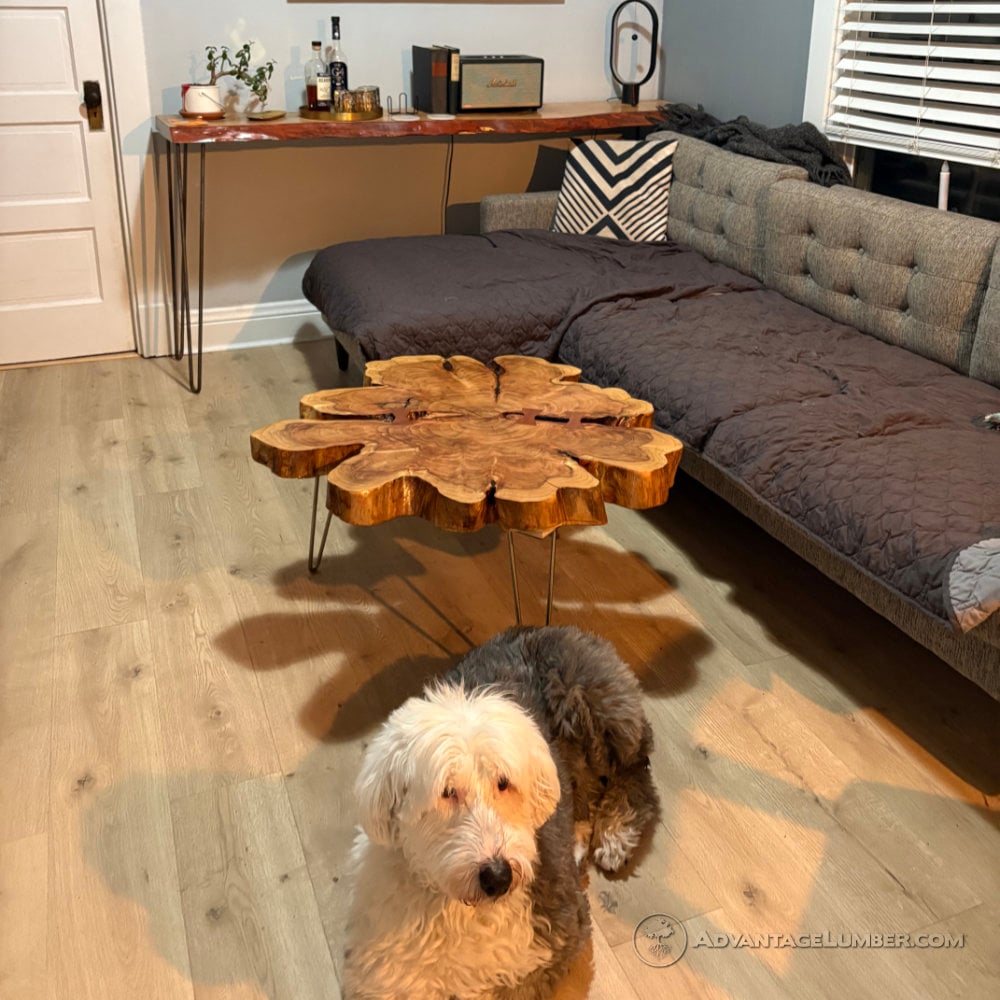 Wood slab with hair pin table leg to make a coffee table in a living room