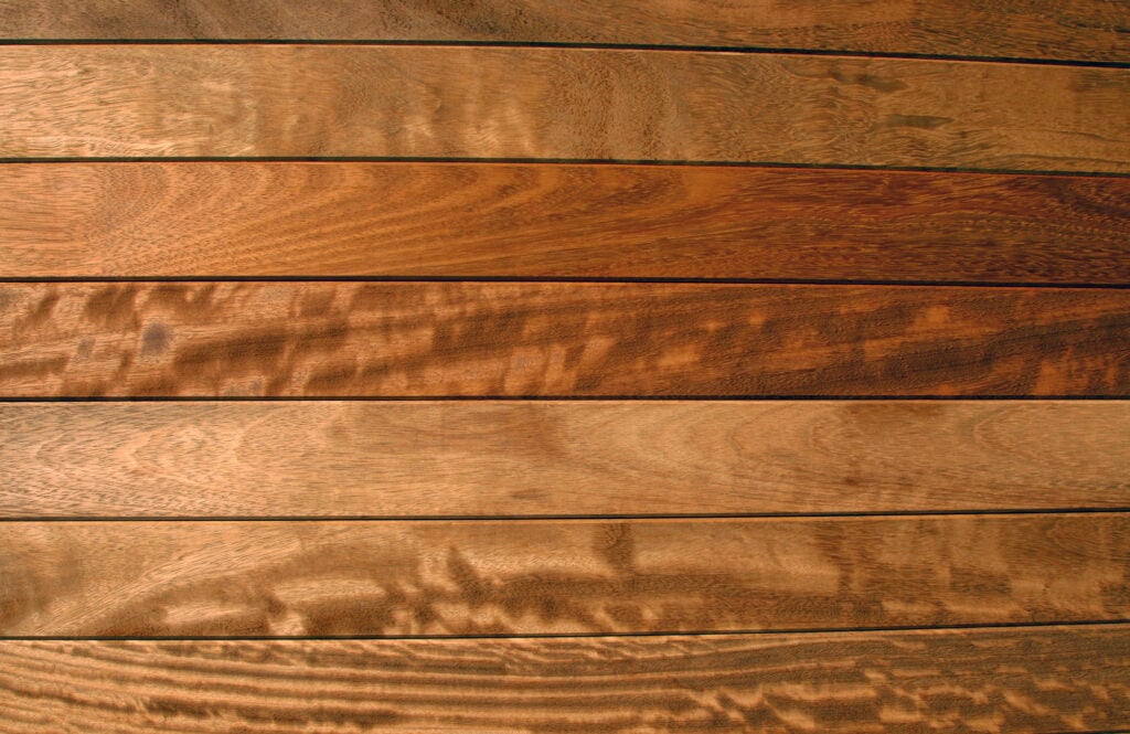 Iroko face web