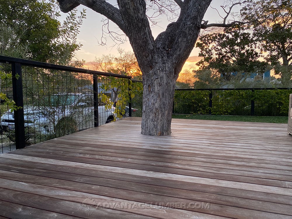gray ipe tree deck